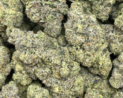 WARHEAD RUNTZ (EXOTICS) - Image 2